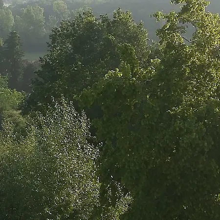 Gites Du Chene Vert Montignac-Lascaux Exterior foto