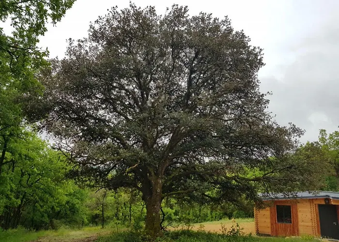 Gîtes du Chêne Vert